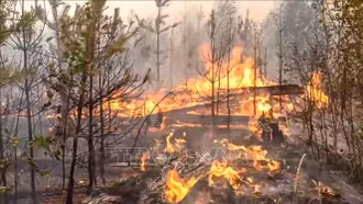 Vùng viễn Đông của Nga ban bố tình trạng khẩn cấp vì cháy rừng