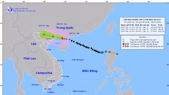 Bão số 1 cách Móng Cái 140km, gió giật cấp 14