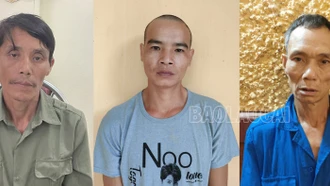 Khởi tố 3 bị can về hành vi tàng trữ trái phép chất ma túy