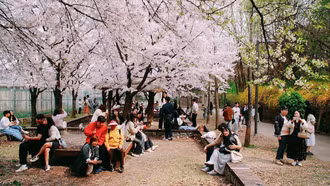 Khách Việt đi Hàn Quốc nhiều nhất Đông Nam Á