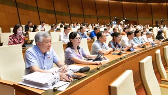 Quốc hội quyết định không đổi tên tòa án cấp tỉnh, huyện