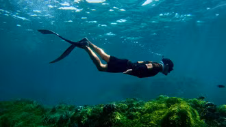 Những điểm lặn biển ngắm san hô dọc Việt Nam