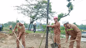 Lễ phát động Tết trồng cây và trồng rừng năm 2024 sẽ diễn ra từ mùng 6 đến 17 tháng Giêng