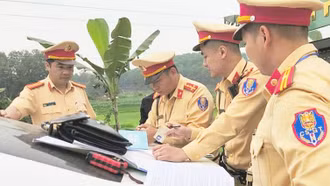 Tuyên Quang: Liên tiếp phát hiện tài xế sử dụng giấy phép lái xe giả