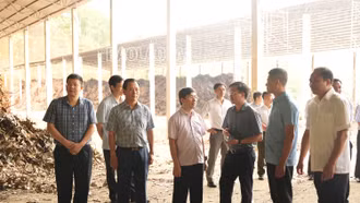 Đoàn công tác Ban Kinh tế Trung ương và Bộ Nông nghiệp và PTNT kiểm tra việc thực hiện Chỉ thị 13-CT/TW trên địa bàn huyện Bảo Thắng