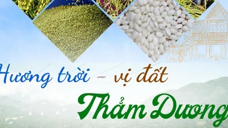 Hương trời, vị đất Thẳm Dương