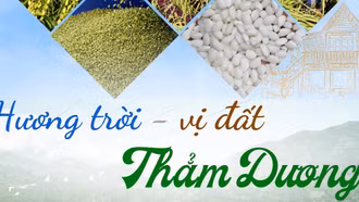 Hương trời, vị đất Thẳm Dương