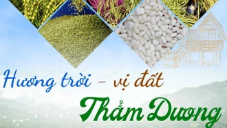 Hương trời, vị đất Thẳm Dương