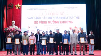 Công bố văn bằng bảo vệ nhãn hiệu tập thể “Bò vàng Mường Khương”