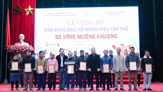 Công bố văn bằng bảo vệ nhãn hiệu tập thể “Bò vàng Mường Khương”