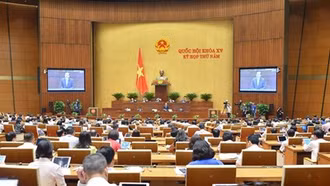 Đúng trọng tâm, giải trình đầy đủ, thỏa đáng