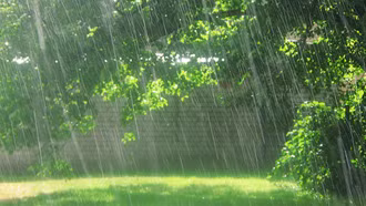 Đón mưa mát, nắng nóng ở vùng thấp suy giảm