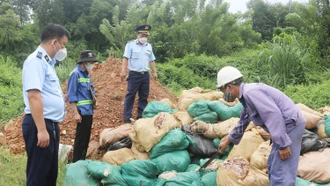 Tiêu hủy hơn 3 tấn thịt bò, chân gà đông lạnh không rõ nguồn gốc