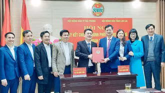 Hội Nông dân tỉnh Lào Cai và thành phố Hải Phòng ký kết hợp tác giai đoạn 2024 - 2028