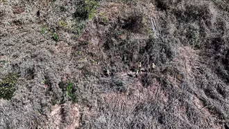 Phát hiện vụ phá rừng phòng hộ quy mô lớn tại Đắk Nông