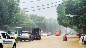 Đêm nay (24/5), mưa dông bao phủ các địa phương trong tỉnh