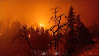 Bang California (Mỹ) đối mặt với cháy rừng sau đợt tuyết rơi và mưa lớn