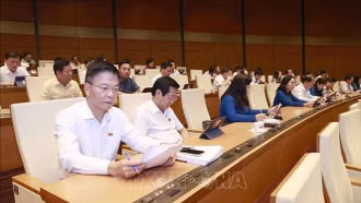 Ủy ban Thường vụ Quốc hội: Sẽ chất vấn việc thực hiện lời hứa tại phiên họp tháng 8/2024