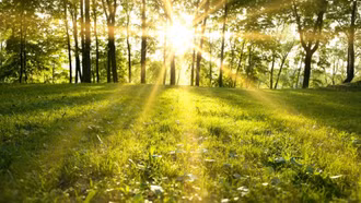 Thời tiết hôm nay (14/6): Nắng nóng đặc biệt gay gắt ở nhiều nơi