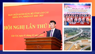 Điểm tin trong tuần từ ngày 29/1 đến 4/2