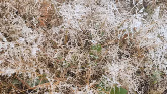 Lào Cai chuẩn bị đón rét đậm, rét hại kéo dài