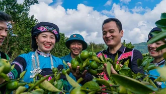 Đảng bộ huyện Mường Khương: Dấu ấn nửa nhiệm kỳ