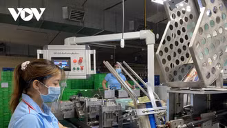 ADB dự báo kinh tế Việt Nam tăng trưởng 6% và cảnh báo một số nguy cơ