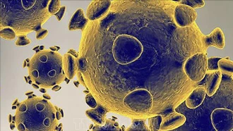 Italy lo ngại về các biến thể mới của virus SARS-CoV-2