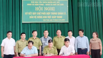 Ký kết quy chế phối hợp trong công tác quản lý, bảo vệ rừng khu vực giáp ranh