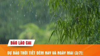  Các khu vực trong tỉnh có mưa rào và dông rải rác