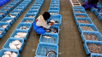 Trung Quốc cấm nhập khẩu thực phẩm từ Nhật Bản