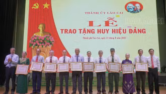 Trao tặng Huy hiệu Đảng cho đảng viên đợt 2/9