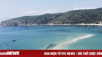 Cận cảnh 4 con đường đi bộ xuyên biển độc đáo nhất nhì Việt Nam