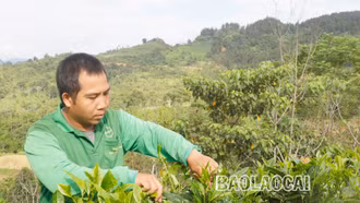 Hiến đất vì lợi ích của cộng đồng