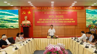 Tiếp tục đổi mới, phát triển và nâng cao hiệu quả kinh tế tập thể