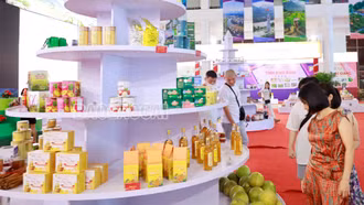 Toàn tỉnh đánh giá, xếp hạng 78 sản phẩm OCOP năm 2023