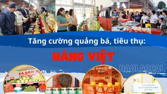 Tăng cường quảng bá, tiêu thụ hàng Việt
