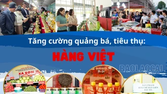 Tăng cường quảng bá, tiêu thụ hàng Việt