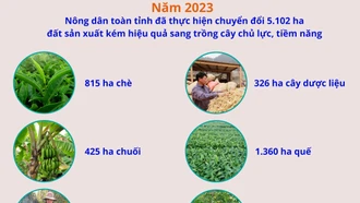 Tích cực chuyển đổi cây trồng trên đất sản xuất kém hiệu quả