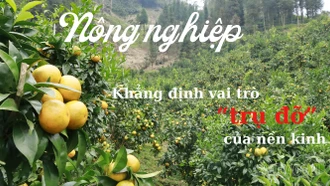 Nông nghiệp khẳng định vai trò “trụ đỡ” của nền kinh tế