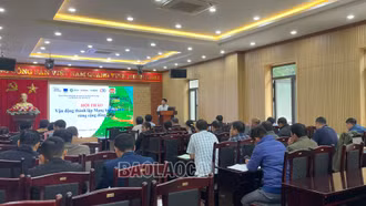 Hội thảo vận động thành lập Mạng lưới quản lý rừng cộng đồng