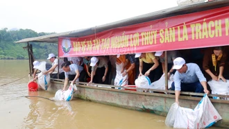 Thả cá phóng sinh, tái tạo nguồn lợi thủy sản trên sông Hồng