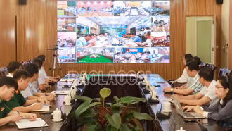 Dự kiến sơ tán gần 19.000 người để đảm bảo an toàn trong bão số 1