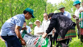 Si Ma Cai phát động ra quân chăm sóc, cải tạo cây ăn quả ôn đới