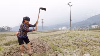 Nông dân tích cực xuống đồng sản xuất ngày đầu năm