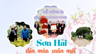 Sơn Hải đón mùa xuân mới