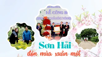 Sơn Hải đón mùa xuân mới