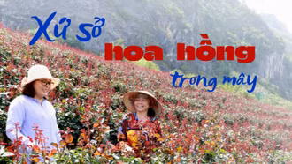 Xứ sở hoa hồng trong mây