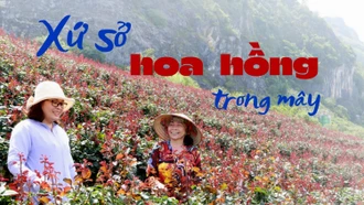 Xứ sở hoa hồng trong mây