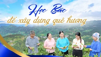 Học Bác để xây dựng quê hương